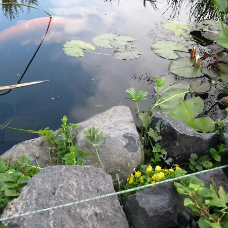 アパート Schoene Aussicht Am Wasserturm Kurtscheid
