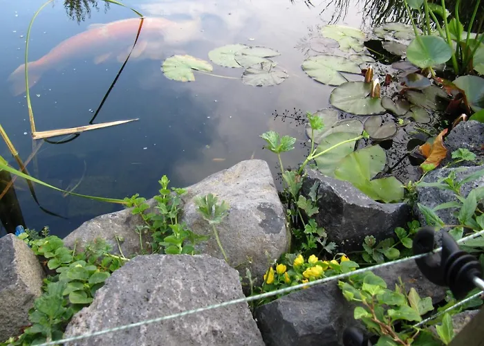 דירה Schoene Aussicht Am Wasserturm Kurtscheid